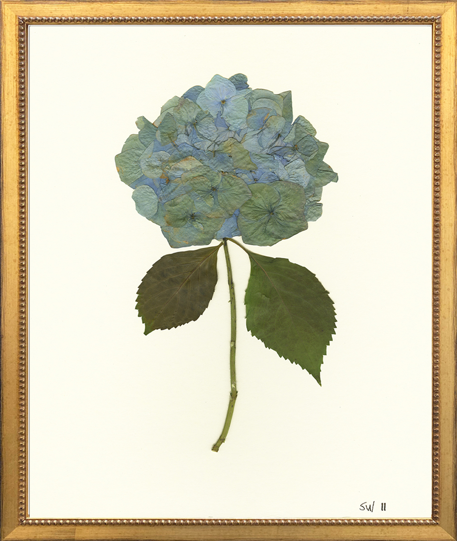 Hydrangea Picture Frame, 4x6 – Noteworthy Paper & Press