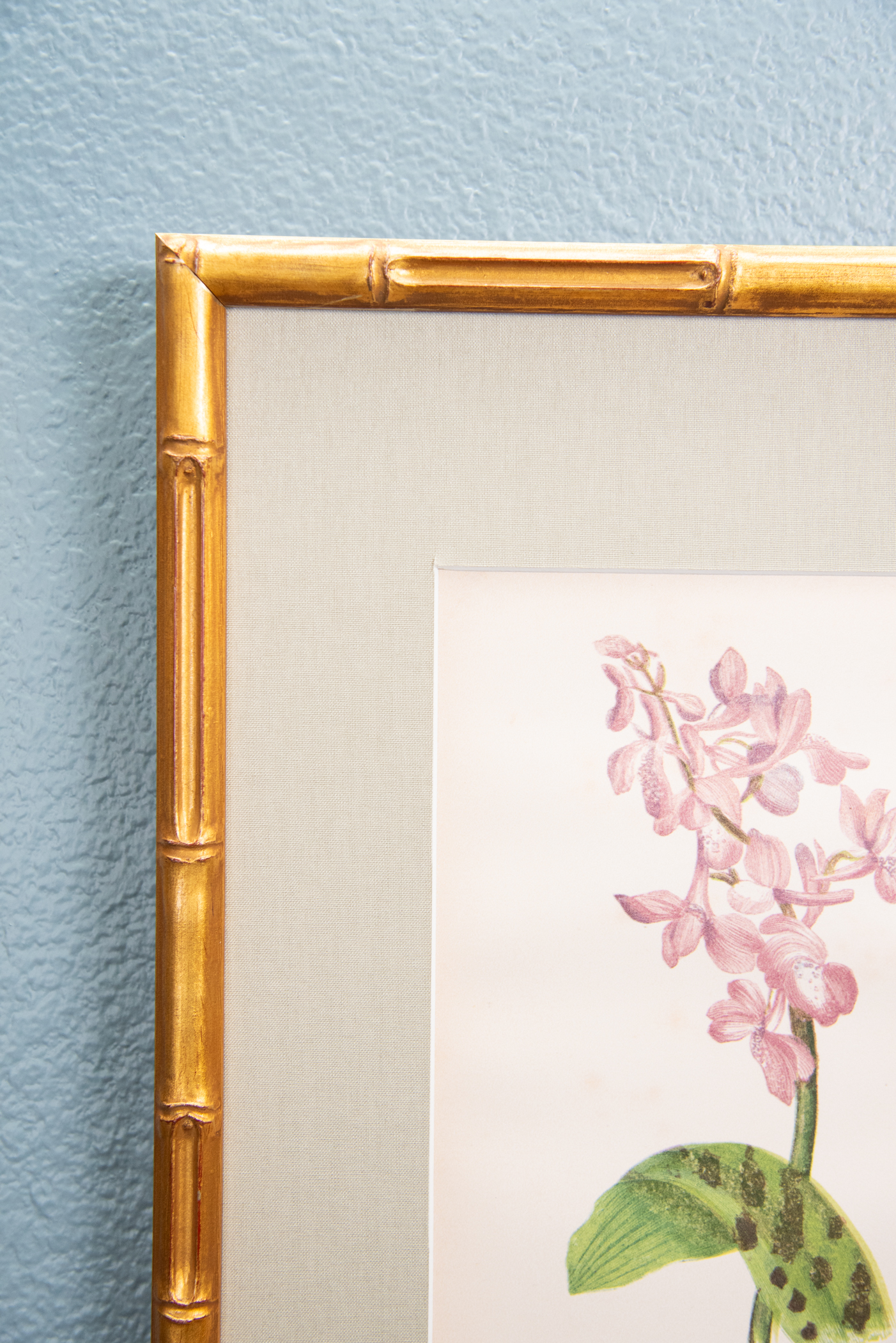 19th Century British Botanical Illustrations in Custom Gilded Frames with fabric mat – Set No. I - Image 8