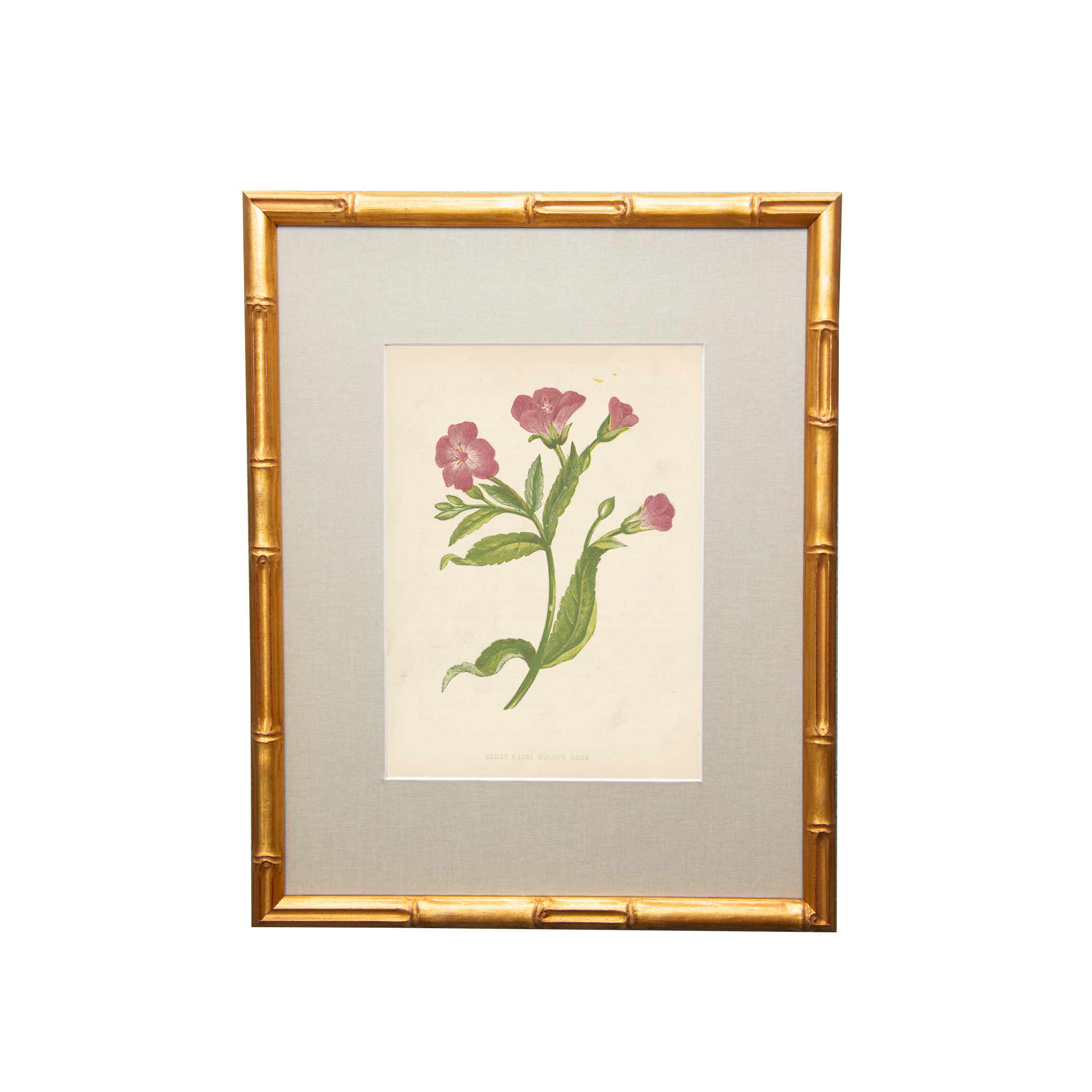 19th Century British Botanical Illustrations in Custom Gilded Frames with fabric mat - Set of Six - Image 3